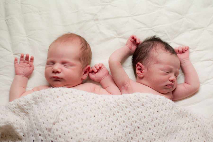 Portrait Session: New Born Babies 
